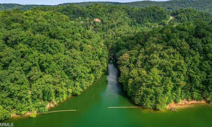 Tazewell House | Lakefront log home with private dock and cove