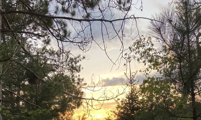 Lewiston Cabin | Lakeside Cabin: Swim, Fish, Kayak. Hunt & Trails nearby