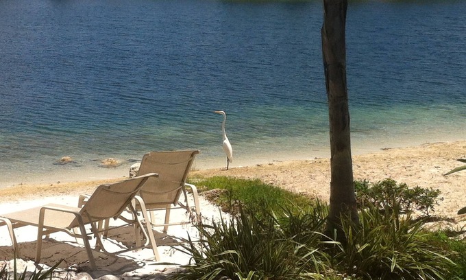 Ludlam House | Lakeside Miami, Designed for Superior Comfort, close to everything Kendall