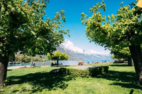 Boenigen Apartment | Lakeside Olti Apartment near Interlaken