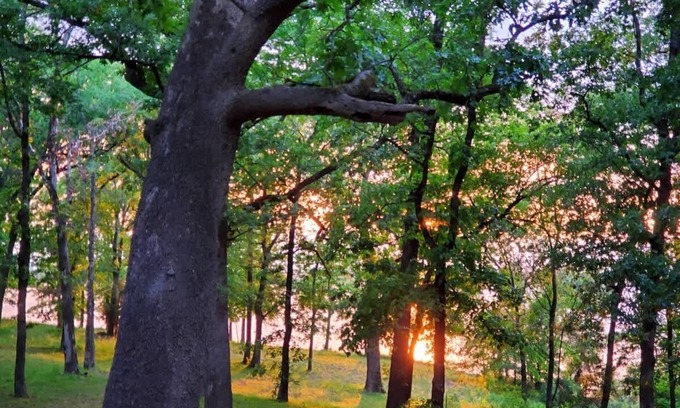 Quitman House | Lakeside Retreat Summ