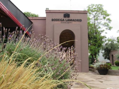 Cuyo Bed & Breakfast | Lamadrid Guest House