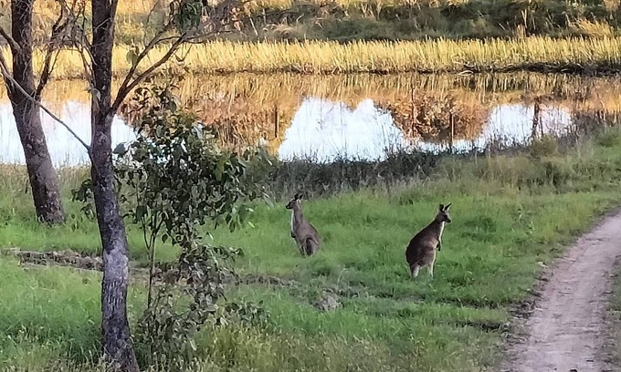Stanhope House | Lambs Valley Guesthouse