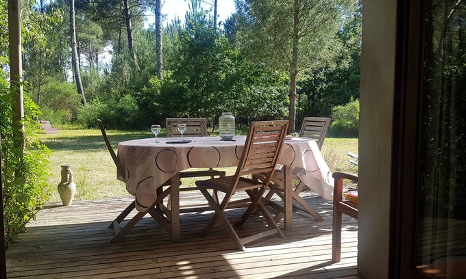 Vielle-Saint-Girons House | Landes restored old cellar in friendly house for 6 people