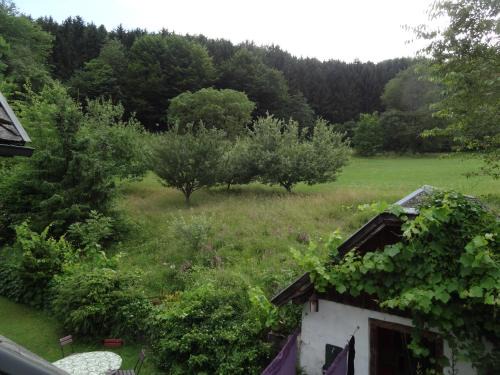 Wolfsgraben Apartment | Landhof Ott
