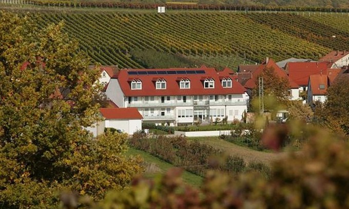 Pleisweiler-Oberhofen House | Landhotel Hauer - double room shower/toilet category 2 (without balcony)