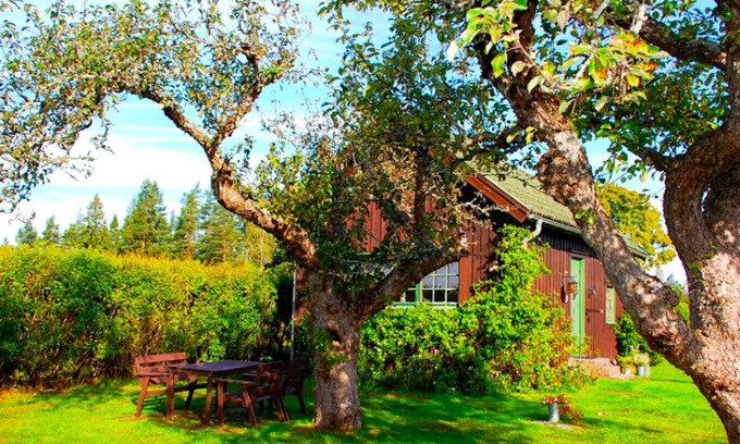 Ydre Municipality House | Landside cottage with horse riding offer!