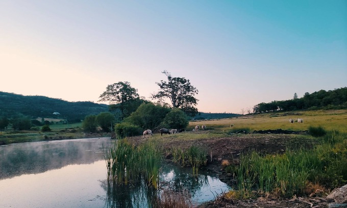 Eagle Point House | Langel Creek Ranch Guest House