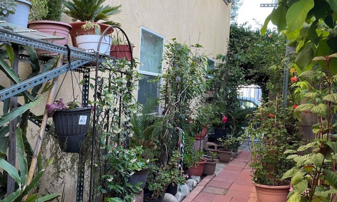 Gardena House | Large 2bd garden home w/free parking near LAX, beaches, stadiums, freeways