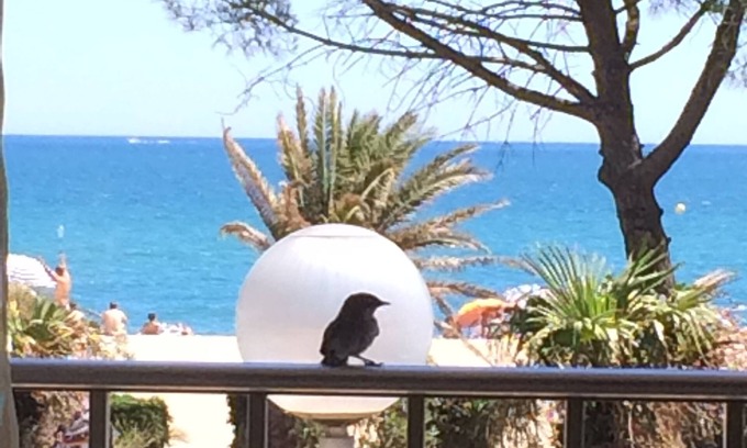 Argeles Plage Apartment | Large apartment, exceptional sea view, seafront, Argeles Plage, Climatisation