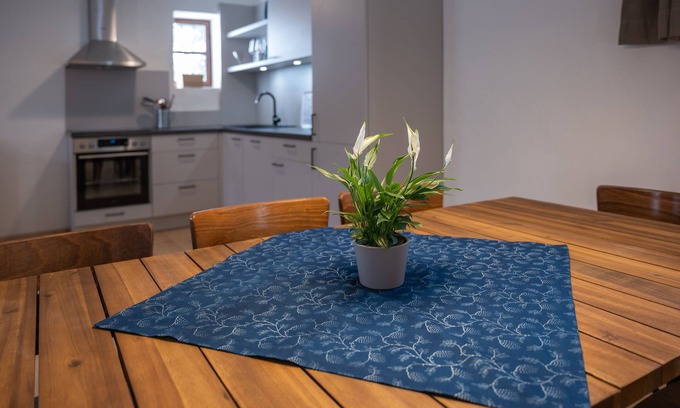 Lutzmannsburg Apartment | Large apartment with terrace 1200sqm garden in central Burgenland