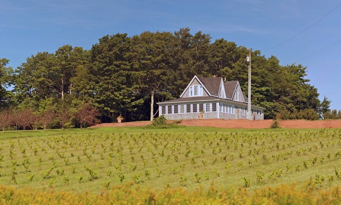 Belle River House | Large Century Home with Vineyard. Very private with a grand ocean view.