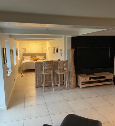 Slagelse Apartment | Large cozy living room with bedroom, bathroom