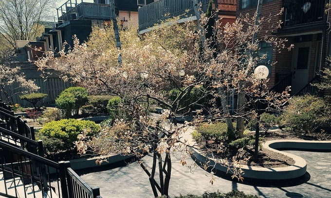 Cabbagetown South Apartment | Large downtown Toronto townhouse. Perfect for large groups and families!