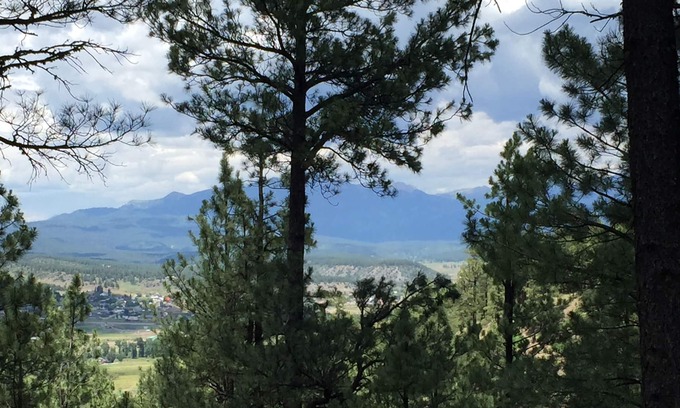 Pagosa Springs House | Large Family Friendly Home In The Trees Close To Attractions!