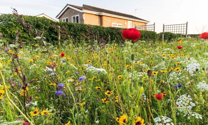 Helsey House | Large garden, dogs welcome,10 Minutes to Beach, EV charger, solar power, wifi.
