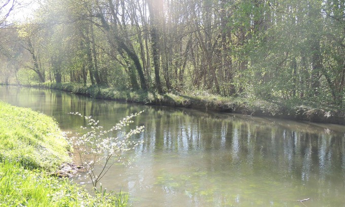 Chambon-sur-Cisse House | Large gite in the heart of the Loire castles