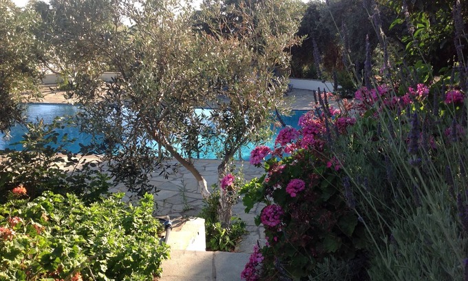 Old Town Naxos Villa | Large private pool, beautiful gardens, sleeps 16, short drive to the beach