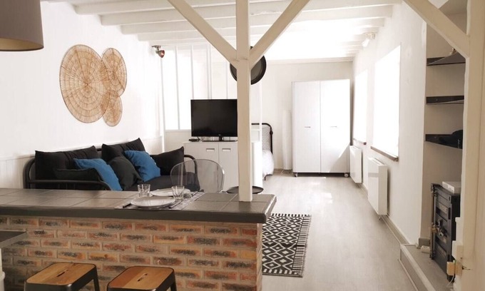 Maisons-Alfort Apartment | Large studio near Paris with terrace