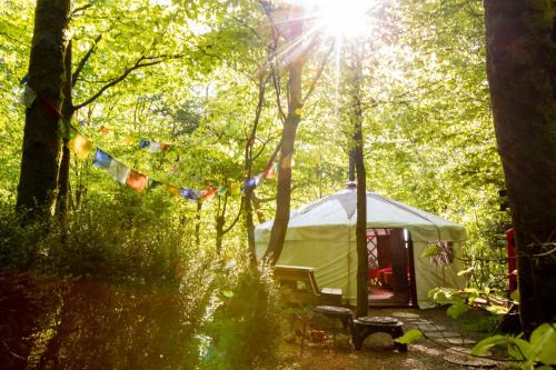 Llangeler Other | Larkhill Tipis and Yurts