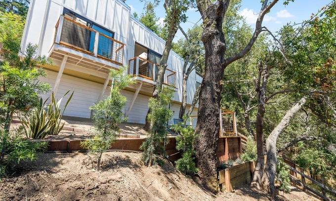 Larkspur House | Larkspur, walk to town , loft style , great views