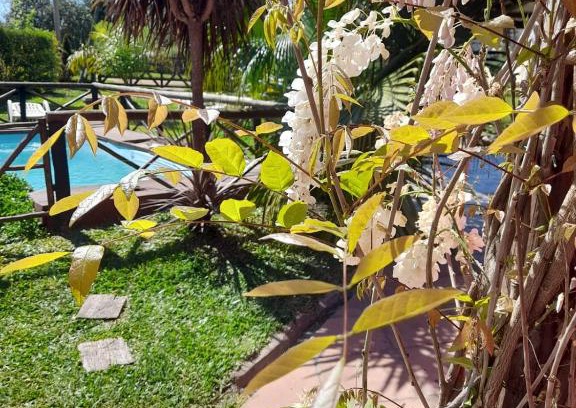 Concepcion del Uruguay House | LAS CALAS