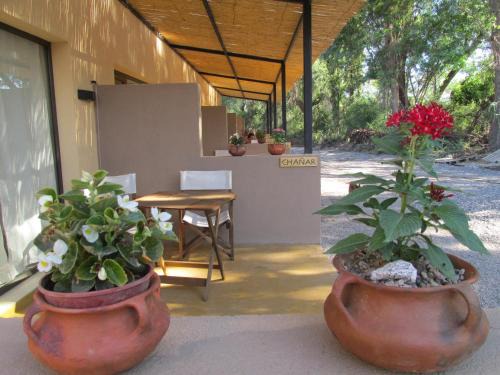 Belen Hotel | Las Cardas Posada