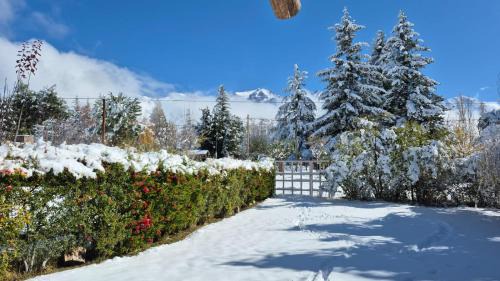 Salto Ski Chalet | Las Lavandas Potrerillos