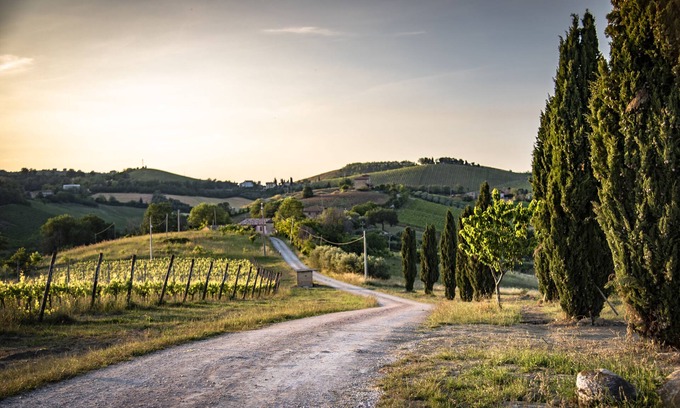 Montalto delle Marche Other | LAST MINUTE! 180° view on vineyards and Sibillini National Park