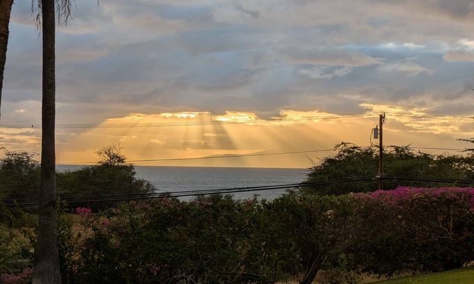 Kihei Condo | Last minute discounts! Stunning ocean sunsets @ Wailea Beaches, foodie kitchen!