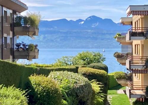 Pully Apartment | LAUSANNE PULLY modern and sunny apartment