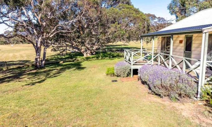 Middleton House | Lavender 63 Burgar Rd Middleton