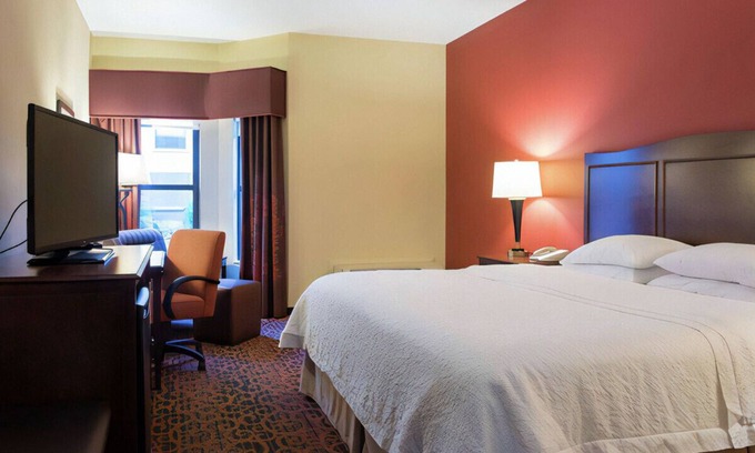 Bearss Plaza House | Lavish King Experience! Free Breakfast & WiFi