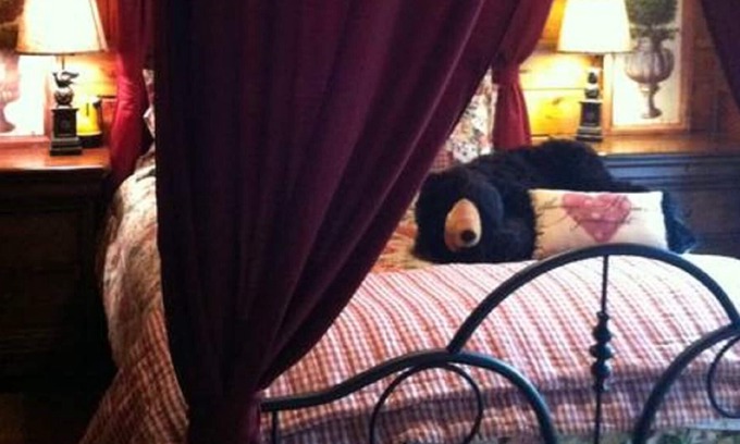 Idyllwild Cottage | Lazy Bear Lodge, SPA, Private Deck, WIFI Dogs OK