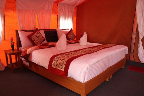 Hundur Other | Ldazes Camp