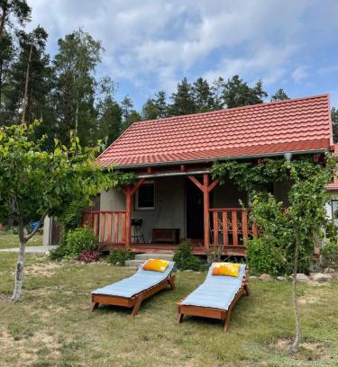 Pozezdrze House | Leśna Ostoja