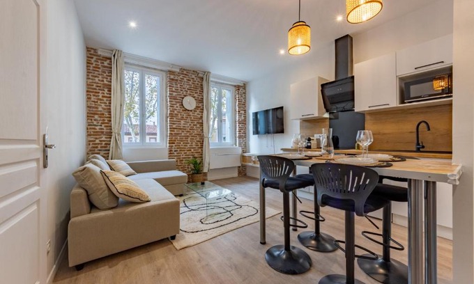 Saint - Agne Apartment | Le bel appart Toulouse climatisation
