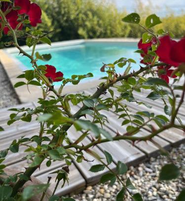 Villemoustaussou Bed & Breakfast | Le chant des cigales