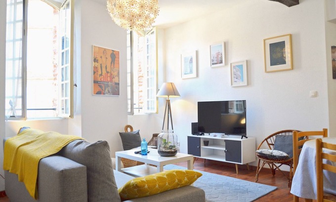 Albi Apartment | Le Chaud Vin, 2 bedrooms, historic center of ALBI, 2 steps from the cathedral