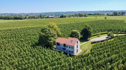 Aubel Villa | Le Clos du Verger