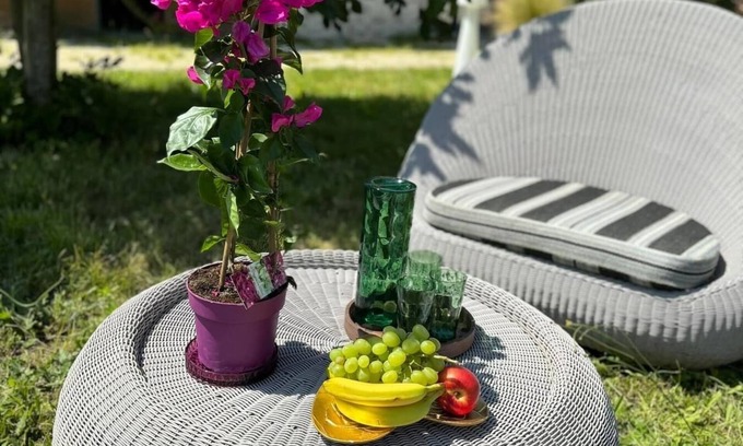 Darvoy Bed & Breakfast | Le domaine de Darvoy