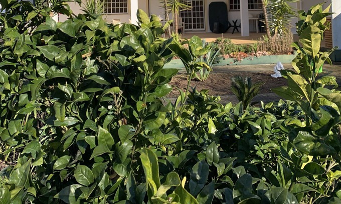 Camparca House | Le Domaine de Lorangeraie