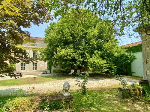 Mareuil Bed & Breakfast | Le Domaine des Tilleuls