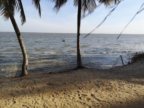 Casamance Bed & Breakfast | Le Figuier