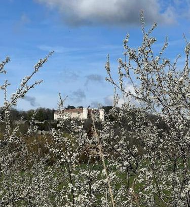 Ray-sur-Saone House | le Gîte de Marie Ray Sur Saône