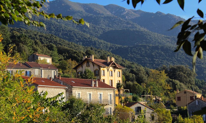 Olivese House | Le Gîte du Chalet Pietri