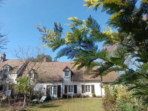 Thesee House | LE JARDIN DE LA PICHONNERIE Chambres d'hôtes