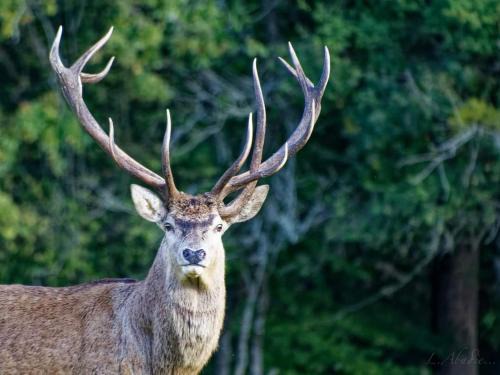 Le Houga House | Le Logis de la Ferme aux Cerfs