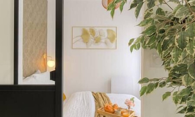 Grand Clement Apartment | LE Louis DOR -accès Facile Gare/eurexpo/aéoroport