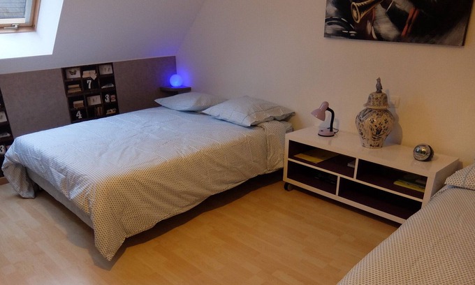 Ruaudin House | LE MANS, ROOM FOR RENT WITH BATHROOM, 10 mins from the circuit, on RUAUDIN